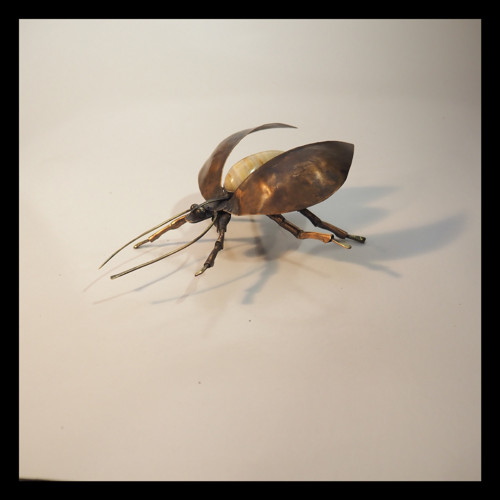 Beetle - brouk Cyril Listový v rámu — foto 3