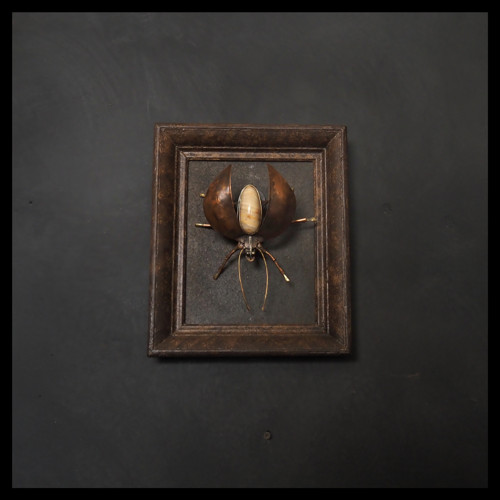Beetle - brouk Cyril Listový v rámu — foto 2