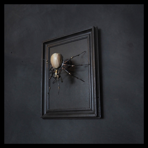 Spider - Alfréd Půdný v rámu — foto 2
