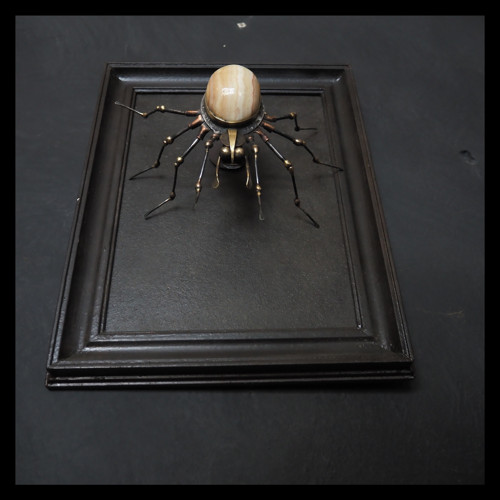 Spider - Alfréd Půdný v rámu — foto 3