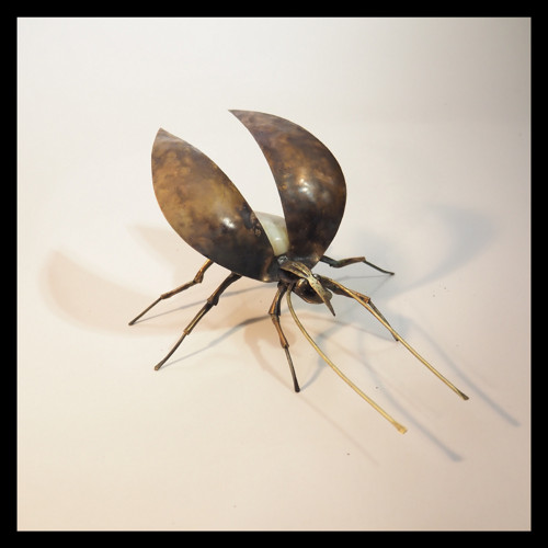 Beetle - brouk René Lítavý v rámu — foto 3