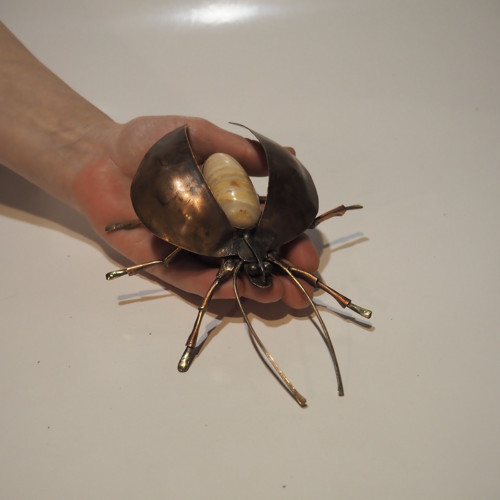 Beetle - brouk Cyril Listový v rámu — foto 5