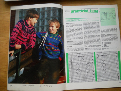 Praktická žena 3 / 90 — foto 4