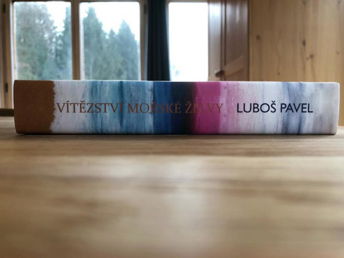 Vítězství mořské želvy — foto 2