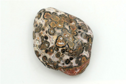 Jaspis leopardí 4,1 cm — foto 2
