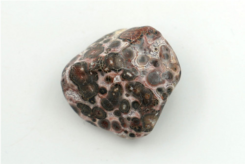 Jaspis leopardí 3 cm — foto 2