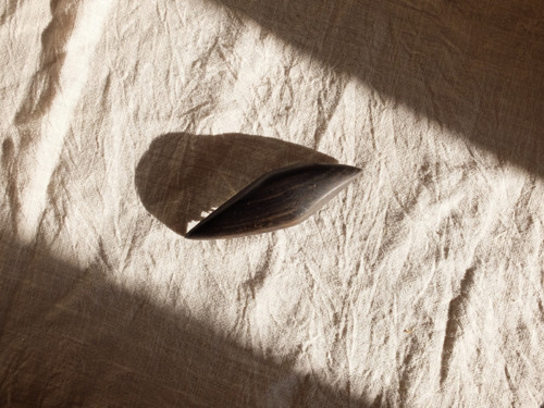 Černá perla — foto 2