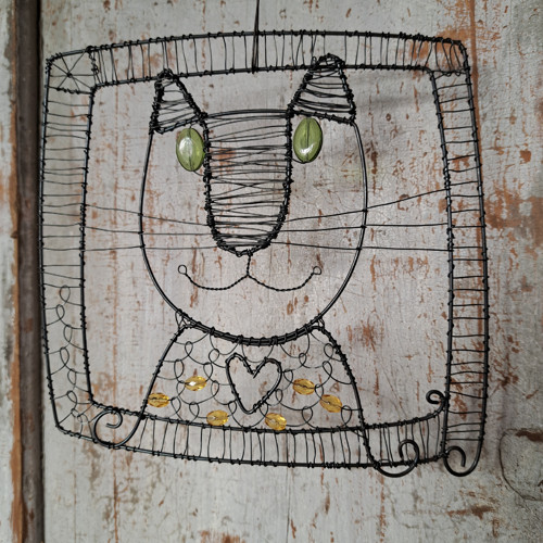 Kocour — foto 2