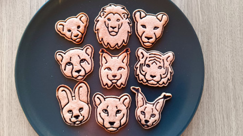 Lvíče, hlava - set — foto 6