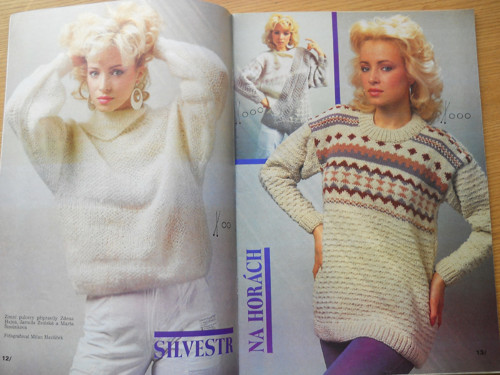Praktická žena 11 / 88 — foto 2