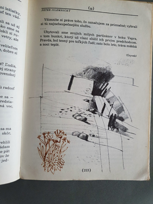 Literírní výchova — foto 6