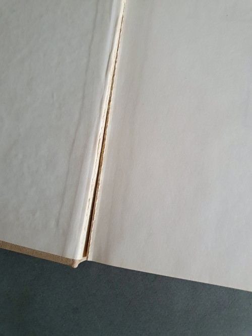 Neprakta — foto 3