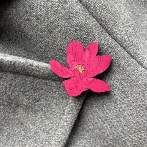 Chryzantéma menší — foto 2