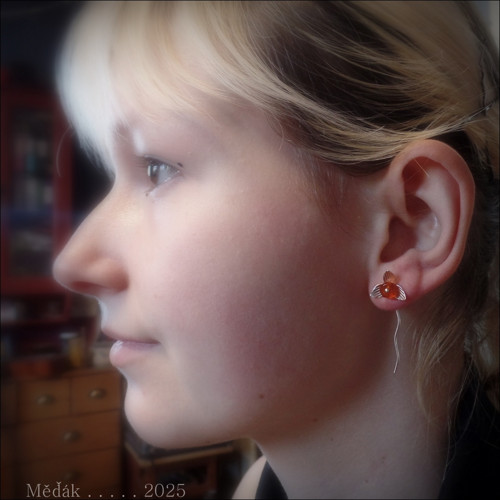 Vůně mandarinek... — foto 3