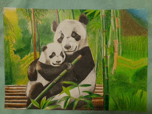 Pandí obejmutí — foto 2