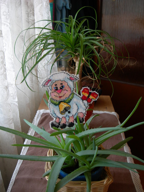Velikonoční beránci — foto 4