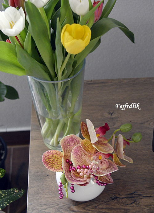 Orchidej v kouličce.. — foto 2