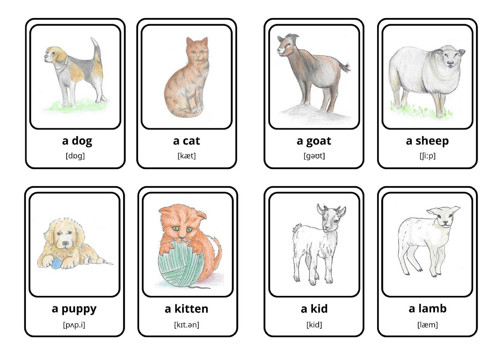 Sada aktivit Farm animals — foto 3