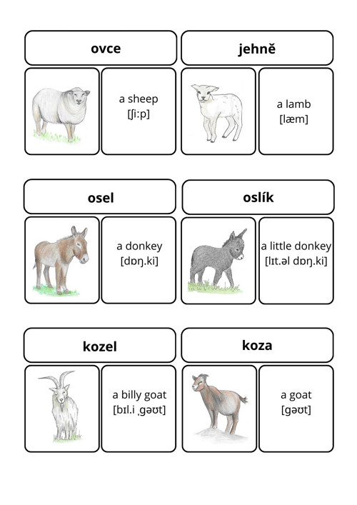 Sada aktivit Farm animals — foto 4