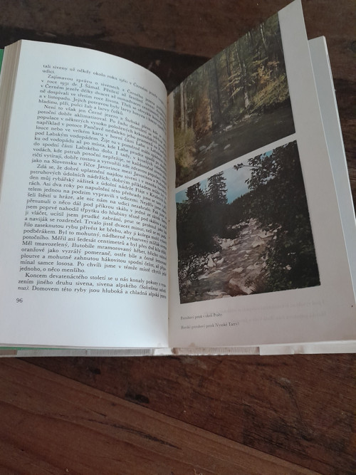 O rybách a rybaření — foto 2