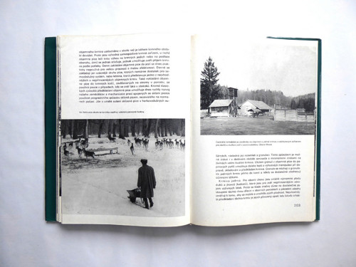 B159_ Naše obory, Wolf, 1976, retro — foto 3