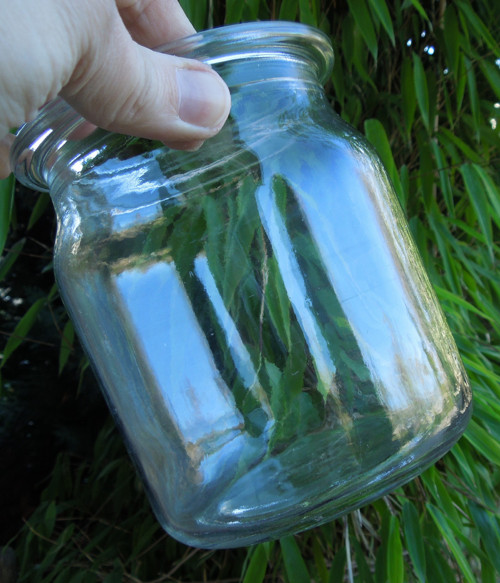 Rexovka — foto 4