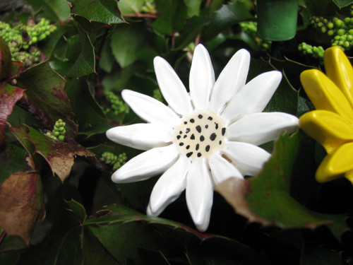Kytky - zápich — foto 6