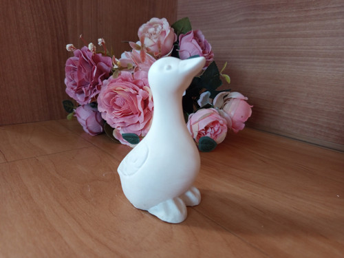 Husička 3D k domalování — foto 3