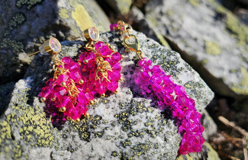 Fuchsia set — foto 2