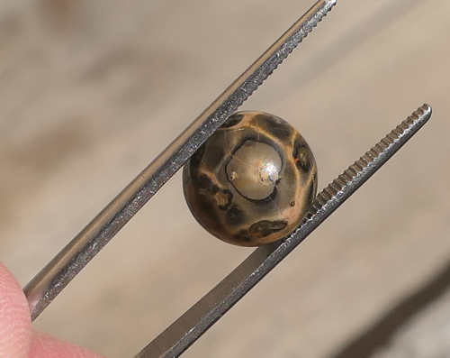 Kulička - jaspis leopardí 10,1 mm V878 — foto 2