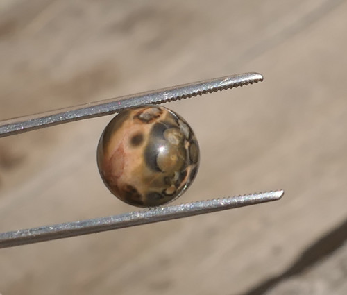 Kulička - jaspis leopardí 10,1 mm V878 — foto 3