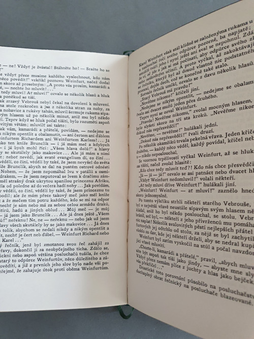 Štrajchpudlíci — foto 4
