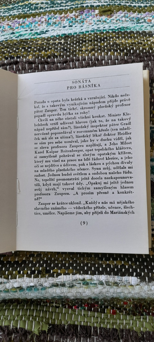 Sbohem letní lásko — foto 2