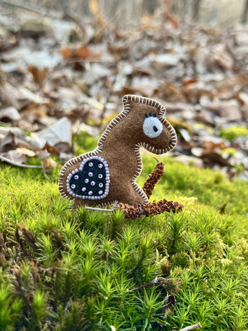 Koník - FAWN — foto 3
