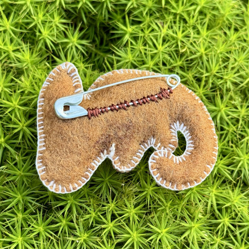 Chameleon - FERN — foto 2