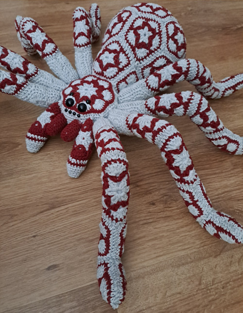 Arachno šedočervený — foto 3