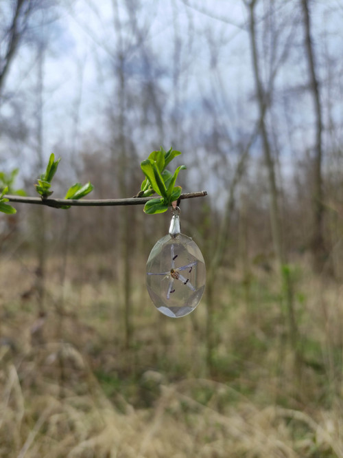 Přívěsek s ladoňkou — foto 2