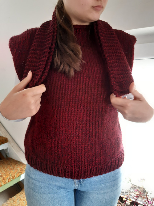 Vesta vínová — foto 3