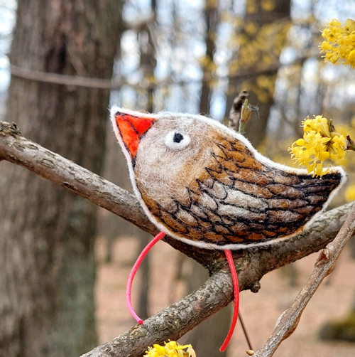 Ptáček — foto 4