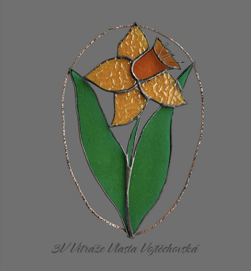Narcis — foto 2