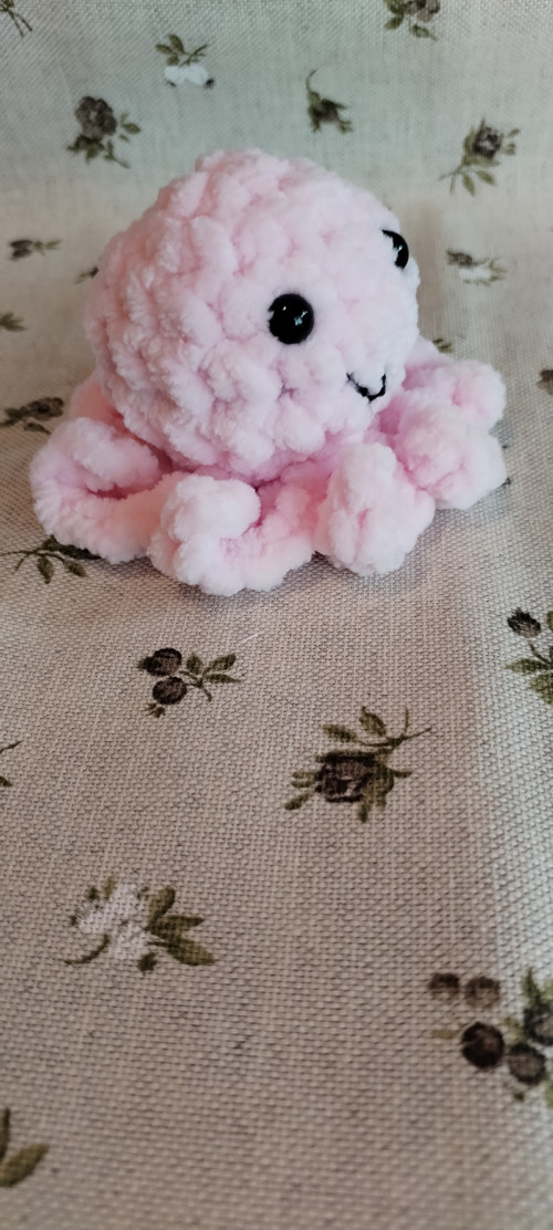 Háčkovaná chobotnička — foto 2