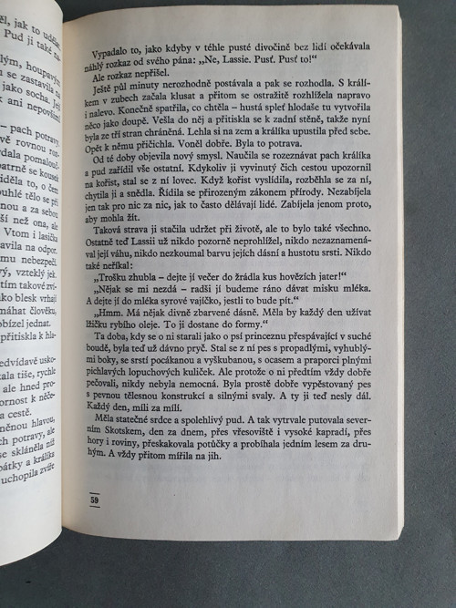 Lasie — foto 4