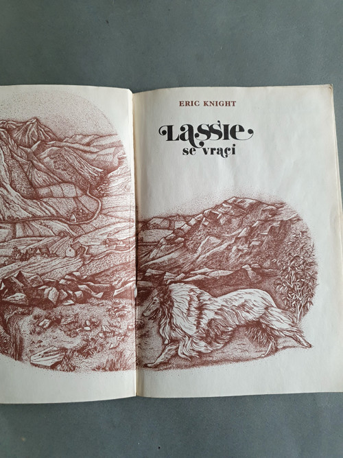 Lasie — foto 2