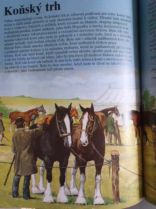 Černý krasavec — foto 4