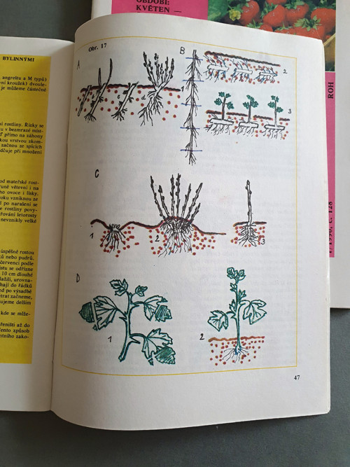 Ovocnářův rok — foto 2