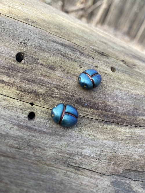 Beetles — foto 4