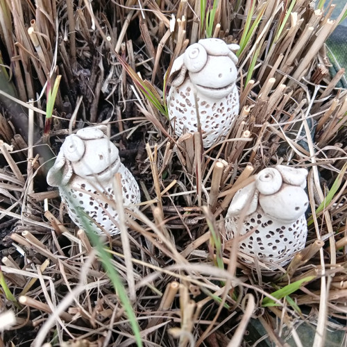Ovečka — foto 2