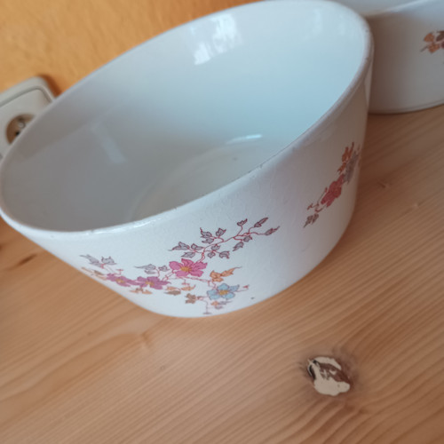 Sada misek — foto 4