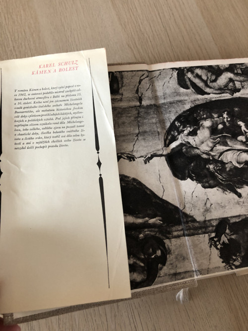 Karel Schulz "Kámen a bolest" — foto 3