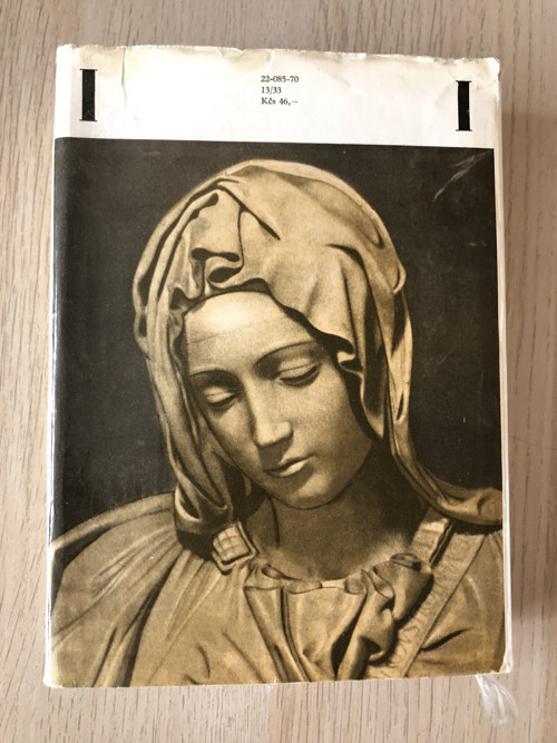 Karel Schulz "Kámen a bolest" — foto 2